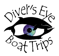 Divers Eye Boat Trips on trans 180